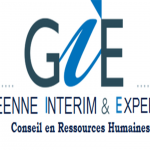 logo de Guinée Intérim Expertise